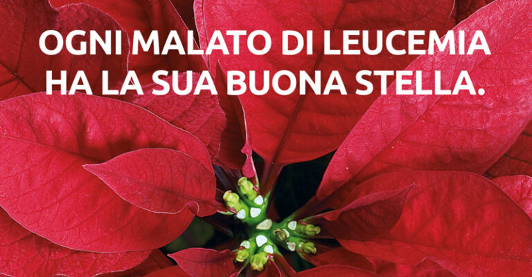 leuicemia stella di natale fb