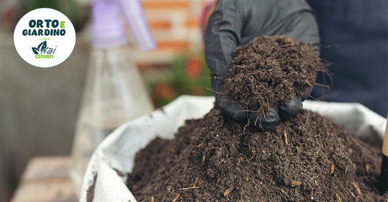 orto e giardino - humus di lombrico