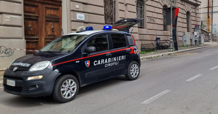 carabinieri-cinofili-FB