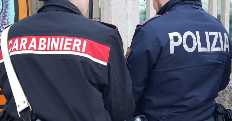 carabinieri e polizia fb