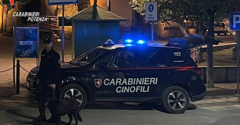 carabinieri cinofili potenza fb