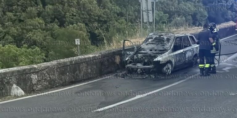 incendio auto pertosa ok