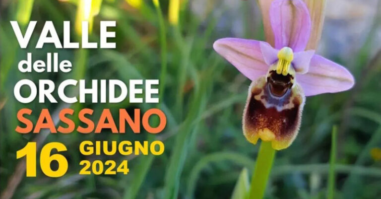 valle delle orchidee sassano 2024 fb