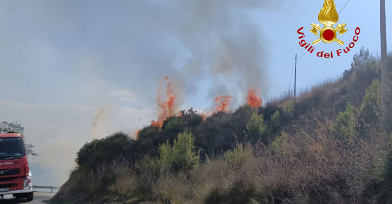 incendio castellabate-perdifumo-FB-31082024