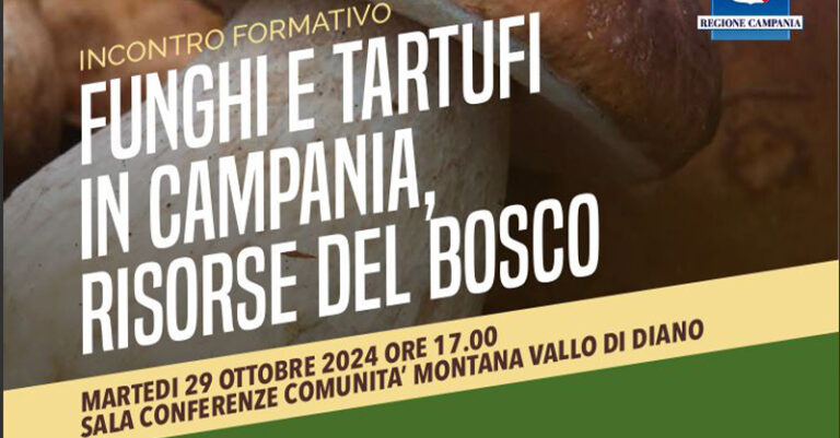 incontro formativo funghi e tartufi