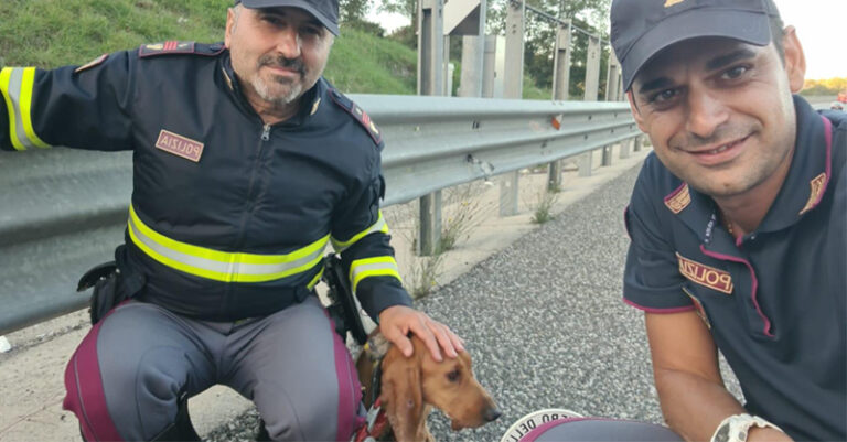 polizia stradale salvataggio cane fb ok