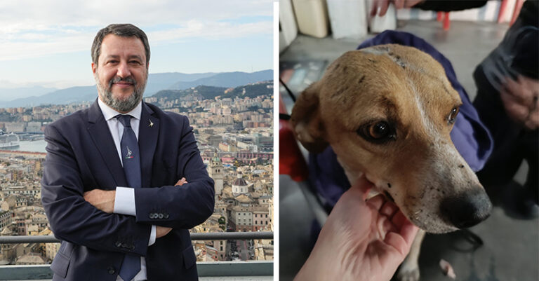 cane blanco matteo salvini