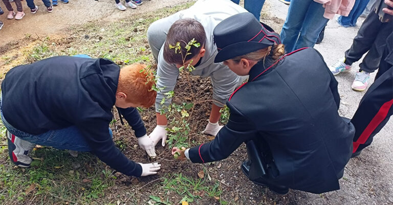 giornata dell'albero cilento carabinieri