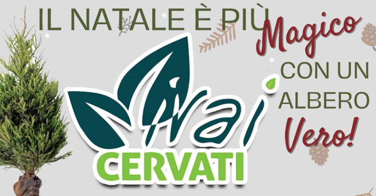 vivai cervati albero natale 2024 fb