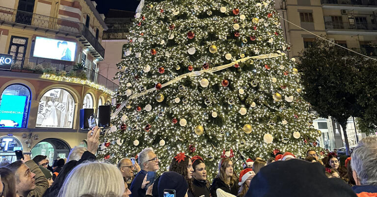 albero salerno 2024