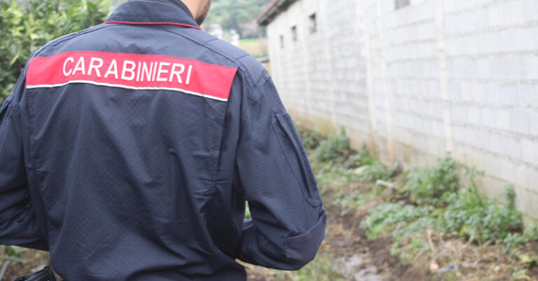 carabinieri forestali generica