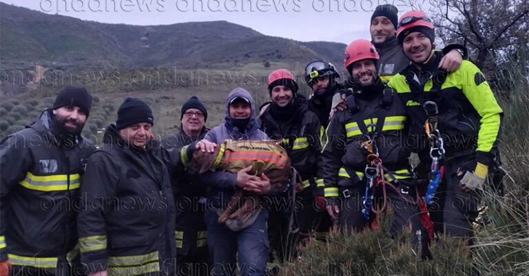 salvataggio cane roscigno vigili del fuoco 15 gennaio 25